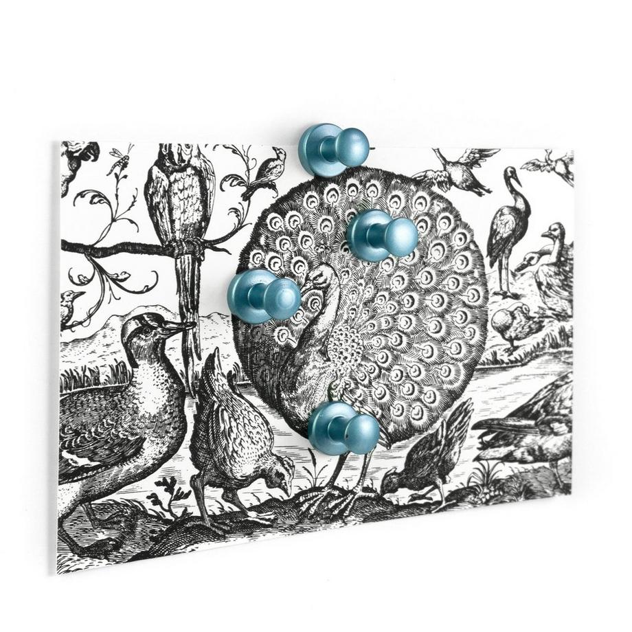 trendform Set di magneti Mini-Max 