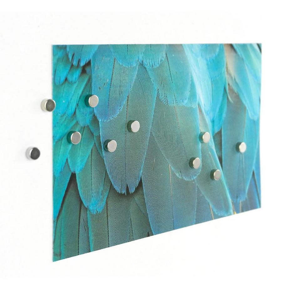 trendform Calamite super potenti Steely 