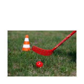 SCHILDKRÖT  Fun Hockey Set 