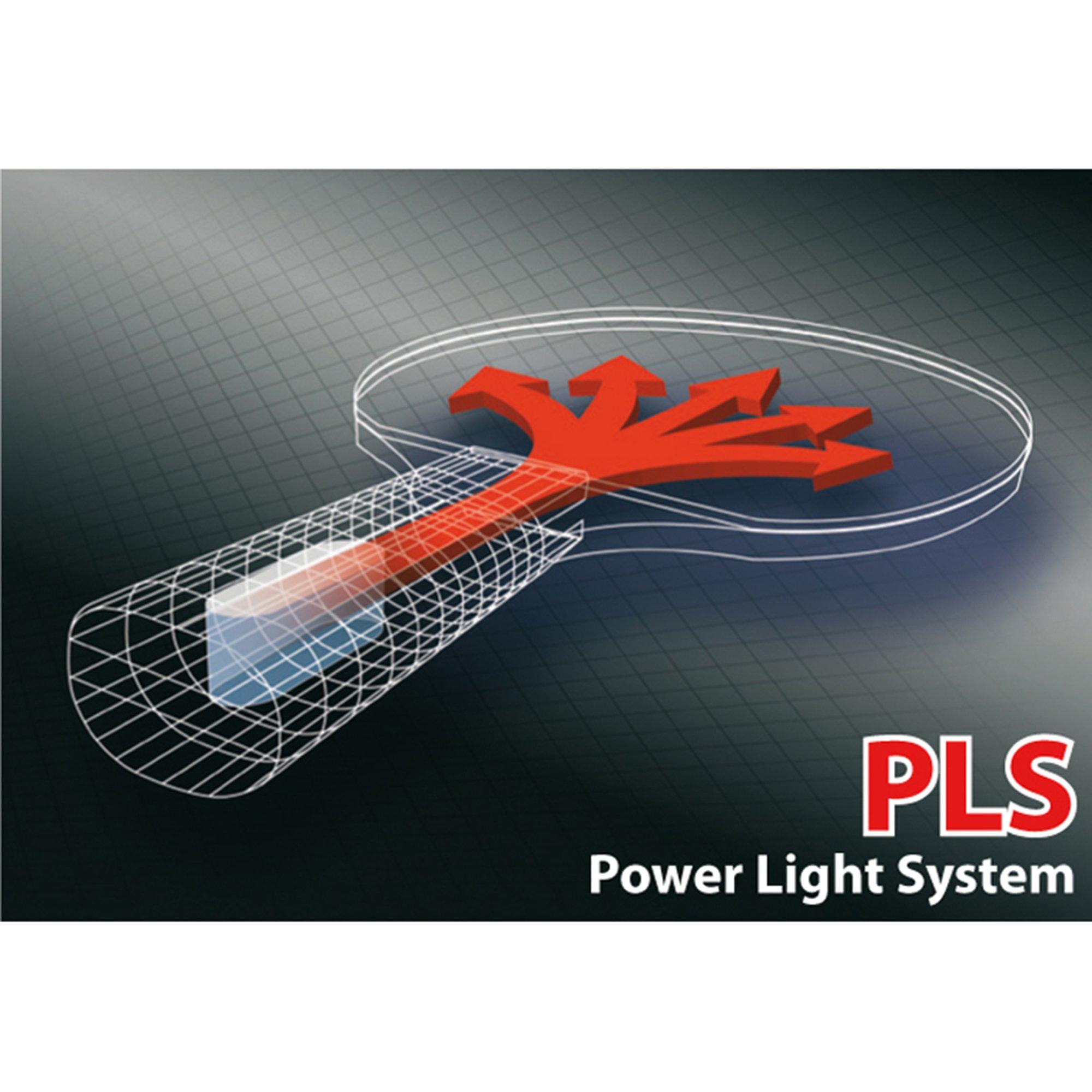 DONIC Legends 800 FSC Tischtennisschläger 