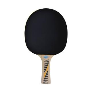 DONIC Legends 300 FSC Racchetta da ping pong 