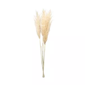 fiore secco