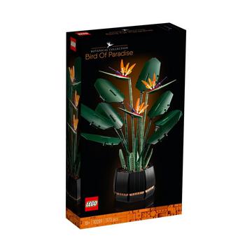 10289 L’oiseau de paradis