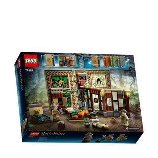 LEGO®  76384 Poudlard : le cours de botanique 