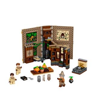LEGO®  76384 Poudlard : le cours de botanique 