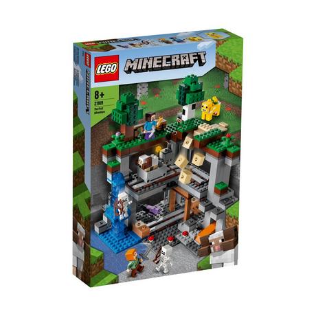 LEGO®  21169 La première aventure 