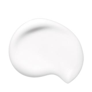 SHISEIDO SS Radiant Synchro Skin Soft Blurring Primer 