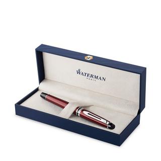 WATERMAN Stylo plume Expert 