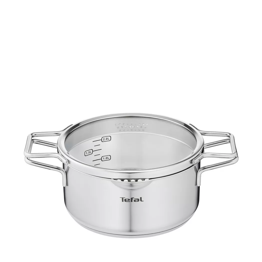 Tefal Nordica Pot Silver 20cm