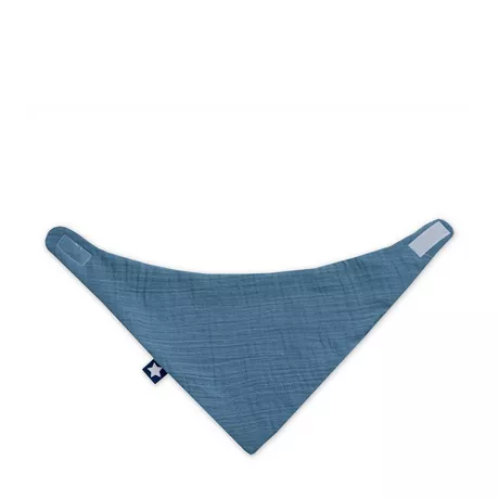 Julius Zöllner Bavoir  Bleu