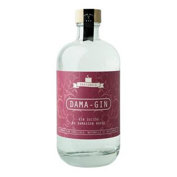 DAMA Gin