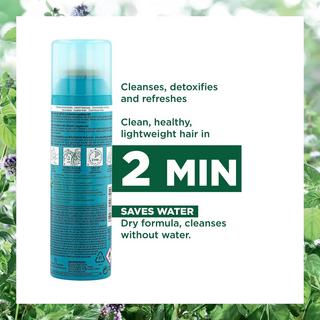 KLORANE BIO-Wasserminze Detox-Trockenshampoo 