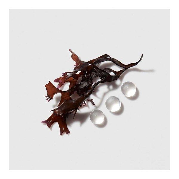 Kérastase CURL MANIFESTO CONDITIONER Chronologiste Thermique Régénérant Blow-Dry Care 