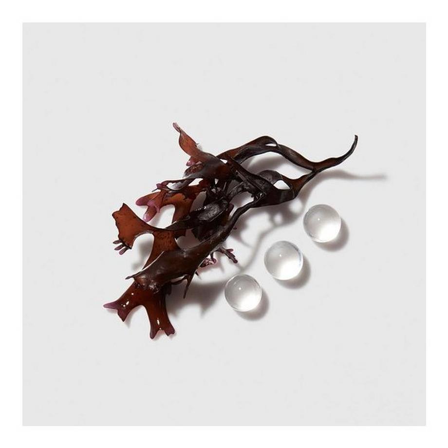 Kérastase CURL MANIFESTO CONDITIONER Chronologiste Thermique Régénérant Blow-Dry Care 