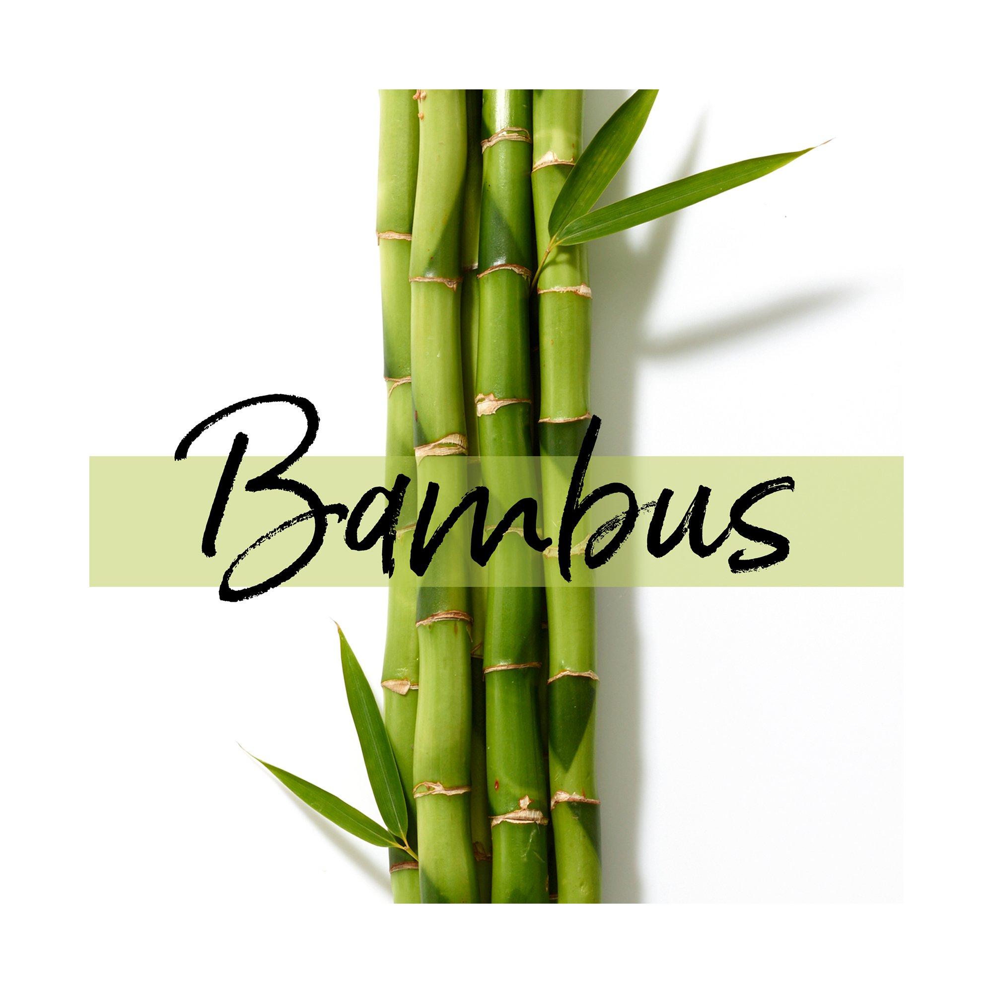 PANTENE  Miracles Grow Strong Pflegespülung Mit Biotin Und Bambus 