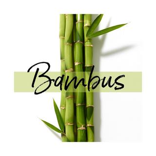 PANTENE  Miracles Grow Strong Pflegespülung Mit Biotin Und Bambus 