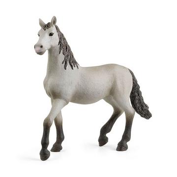 13924 Pura Raza Española giovane cavallo
