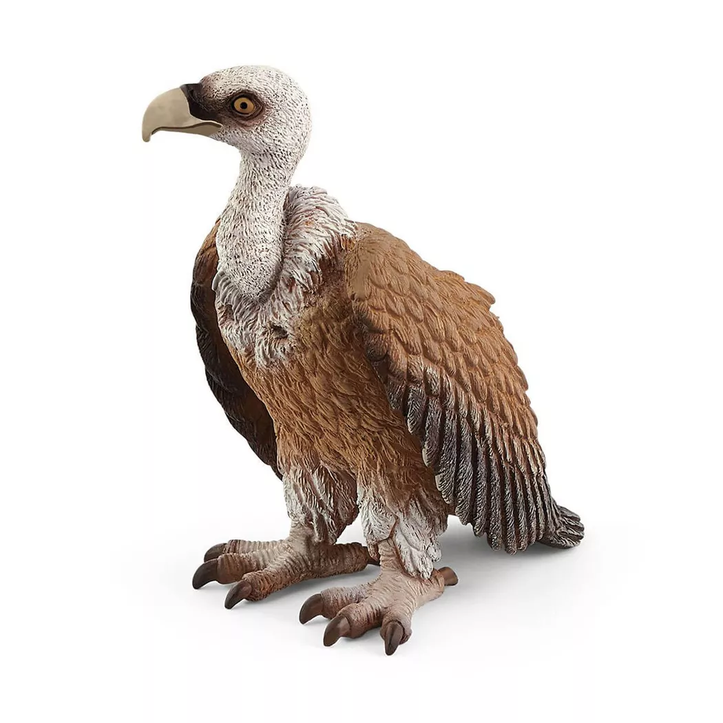 Schleich - 14847 Geier, Multicolor