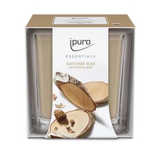 ipuro Bougie parfumée Cedar Wood 