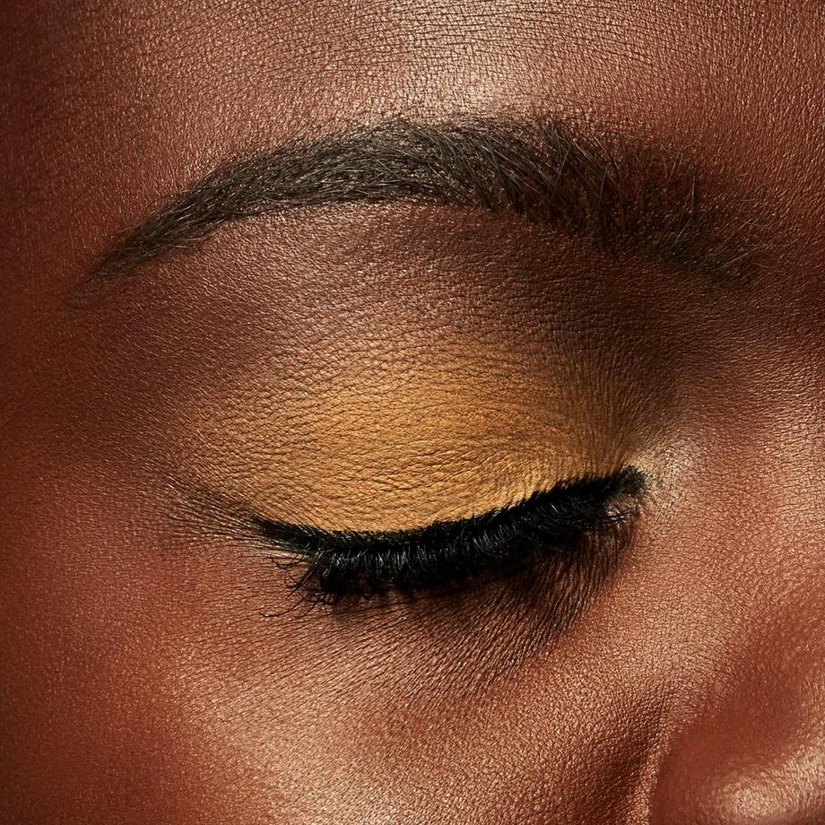 MAC Cosmetics Pro Longwear Fard à paupières 