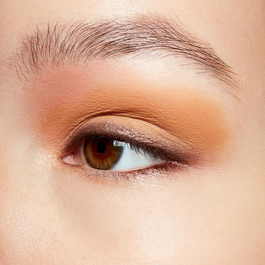 MAC Cosmetics Pro Longwear Fard à paupières 