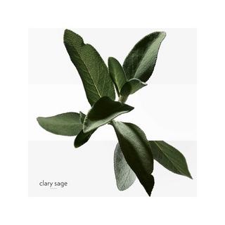 HERMÈS H24, Eau de Toilette  