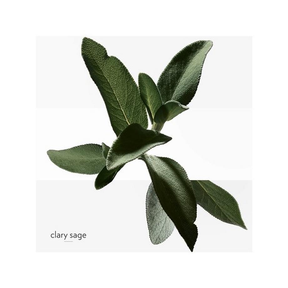 HERMÈS H24, Eau de Toilette  