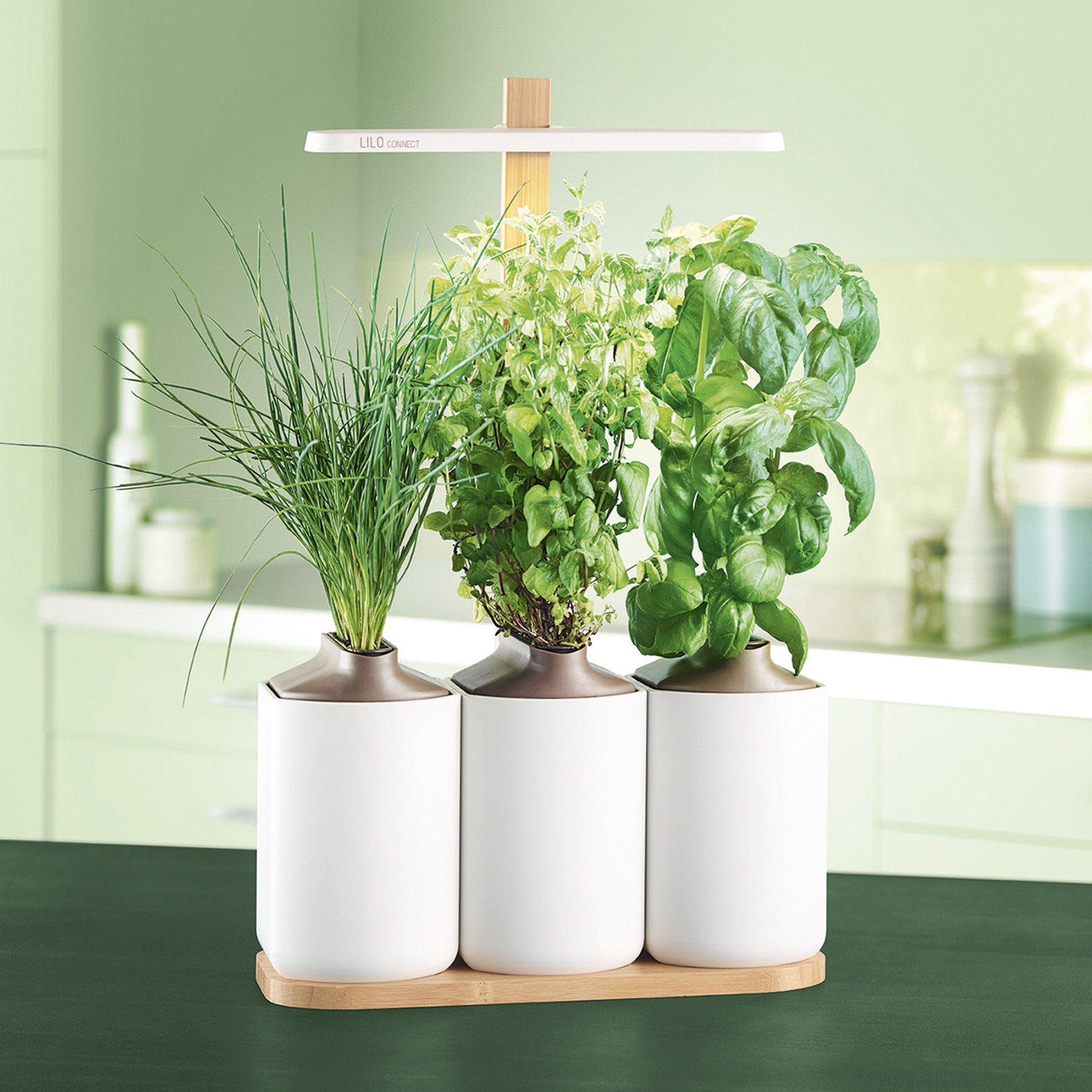 Prêt à Pousser Lilo Connect Vaso per piante 