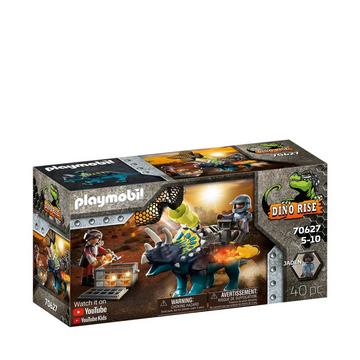 70627 Triceratops, Randale um die legendären Steine