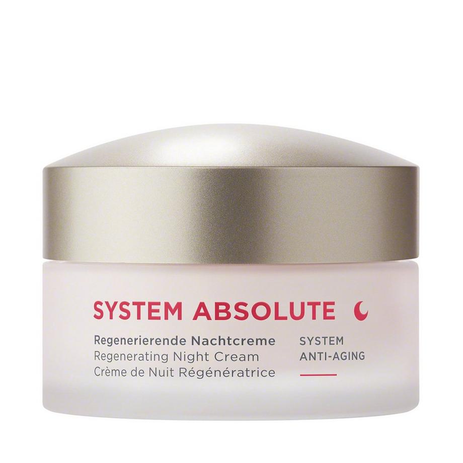 Annemarie Börlind SYSTEM ABSOLUTE Crema notte rigenerante 