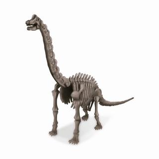 4M  Scavare uno scheletro di dinosauro, Tedesco / Francese 