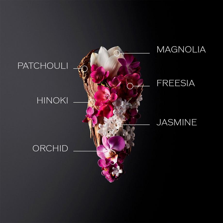 SHISEIDO SHI Ginza fragrance  