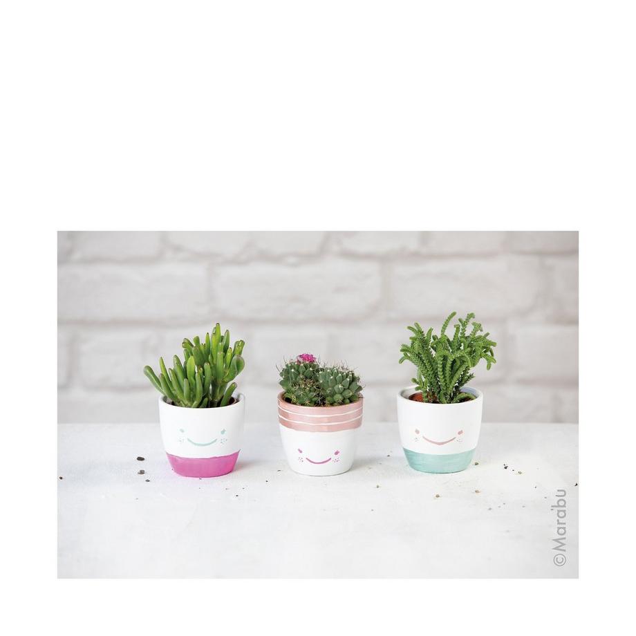 Marabu Peinture acrylique Colorado 