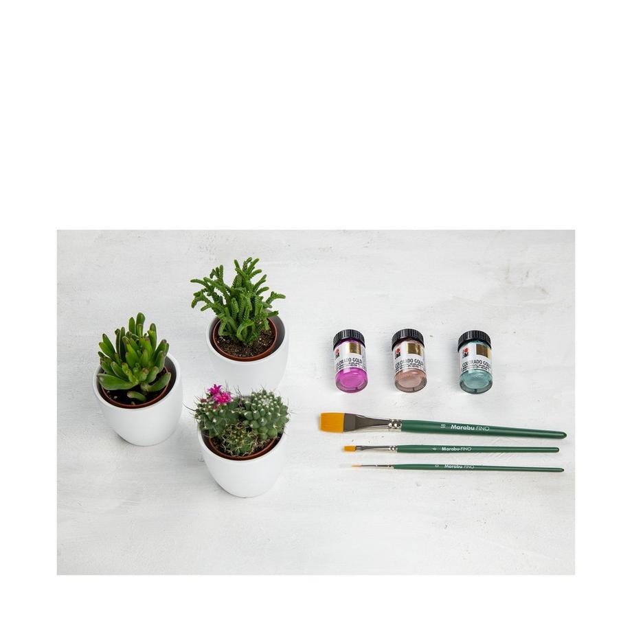 Marabu Peinture acrylique Colorado 