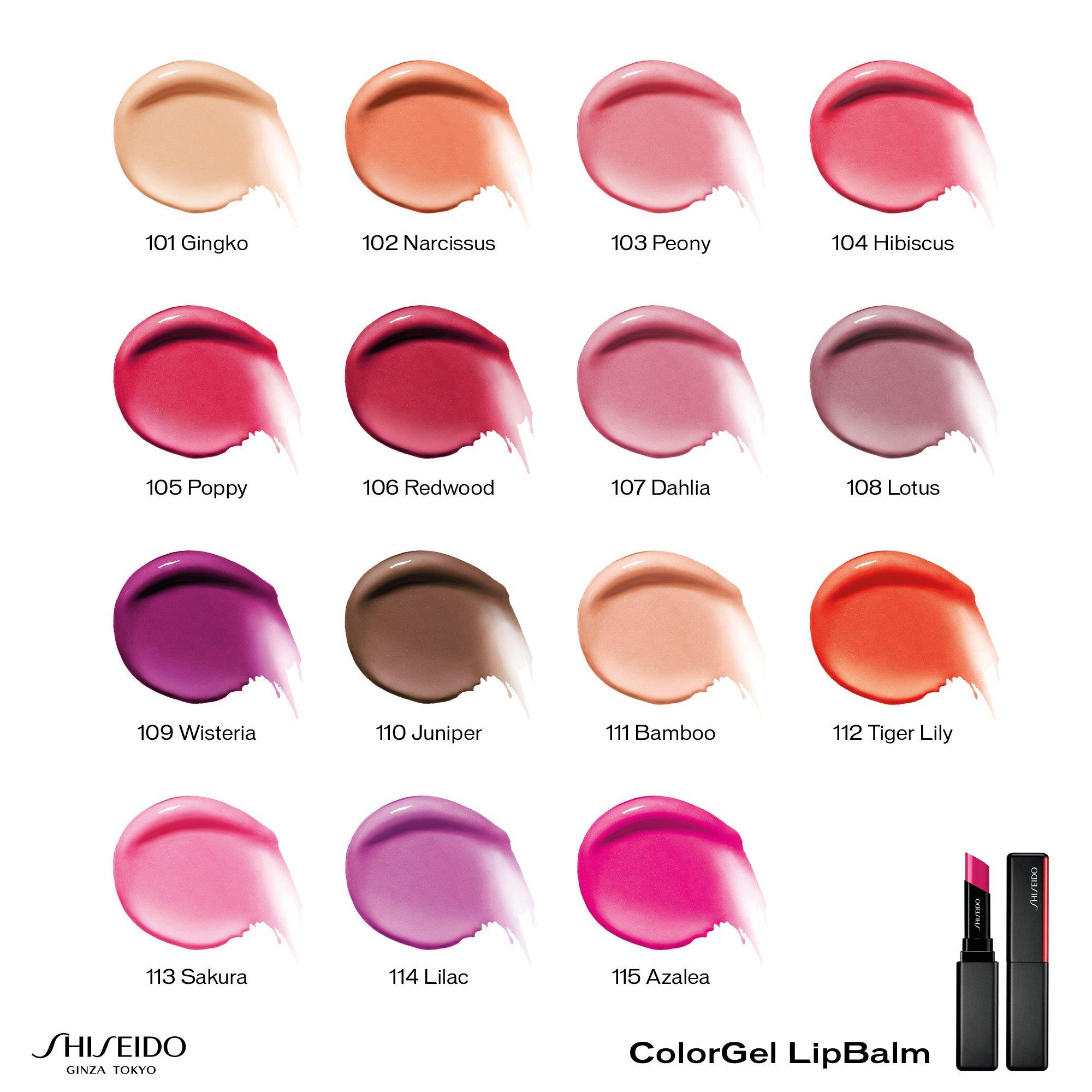 SHISEIDO Colorgel SHI Colorgel Lipbalm 