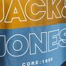 JACK & JONES JCOFADING T-Shirt 