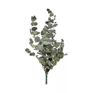 Trockenblume