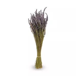 fiore secco