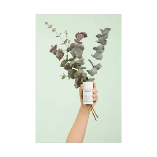 CAUDALIE Vinofresh Déo stick Déodorant Stick Naturel Vinofresh 