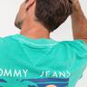 TOMMY JEANS TJM PALM TREE GRAPHIC TEE T-Shirt 