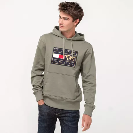 tommy hilfiger icon earth badge hoodie