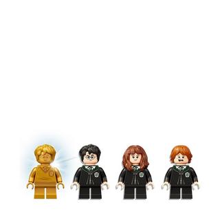 LEGO®  76386 Hogwarts™: Errore della pozione polisucco 