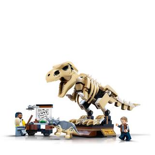 LEGO  76940 T. Rex-Skelett in der Fossilienausstellung 