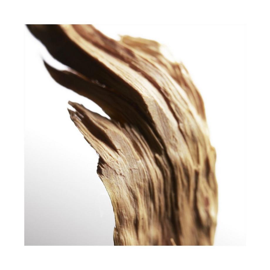 Davidoff Cool Water for Him Cool Water Parfum for Him  