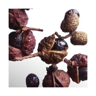 Davidoff Cool Water for Him Cool Water Parfum for Him  