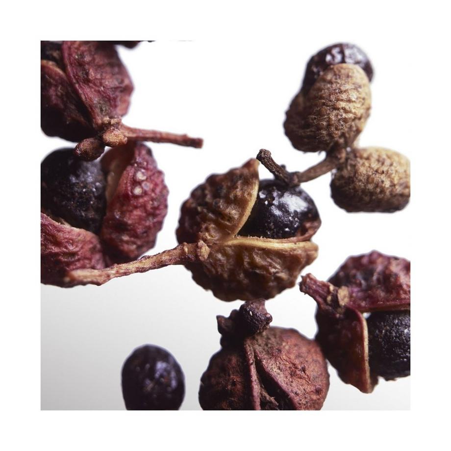 Davidoff Cool Water for Him Cool Water Parfum for Him  