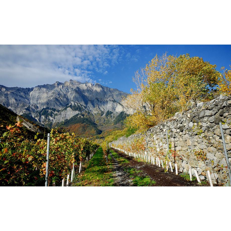 Domaine Rouvinez 2022, Nez Noir Blanc, Valais AOC  