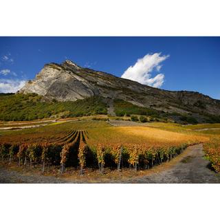 Domaine Rouvinez 2022, Nez Noir Blanc, Valais AOC  