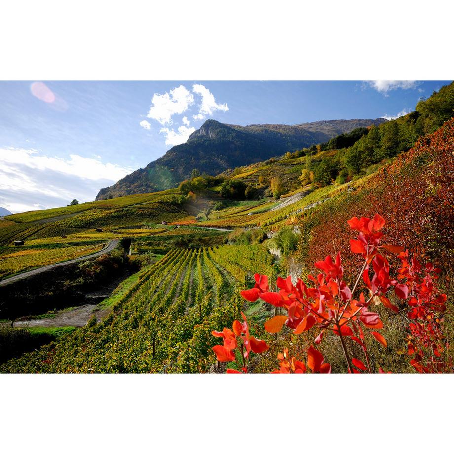 Domaine Rouvinez 2022, Nez Noir Blanc, Valais AOC  