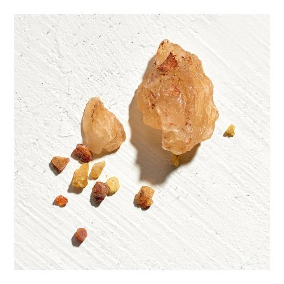 JIL SANDER SUN Parfum Men  